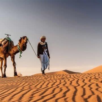 زوج يدفن زوجته في صحراء السعودية وبعد تسعة أشهر حدثت هذه المفاجأة الصادمة