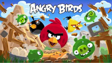 سيجا في طريقها للإستحواذ على مطور لعبة Angry Birds مقابل مليار دولار