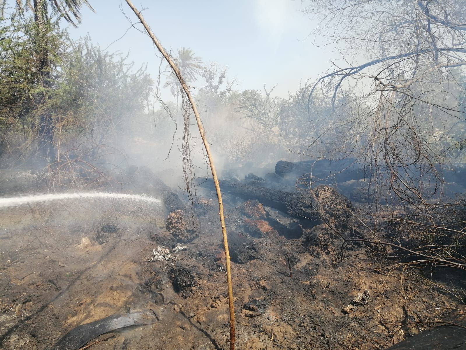 دون تسجيل إصابات.. إخماد حريق بصحار