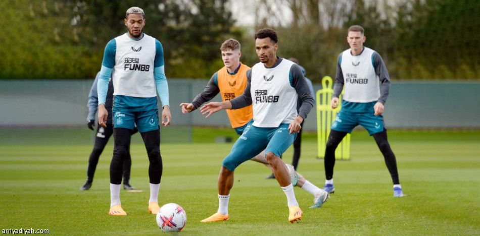 نيوكاسل يعزز حظوظ الأبطال