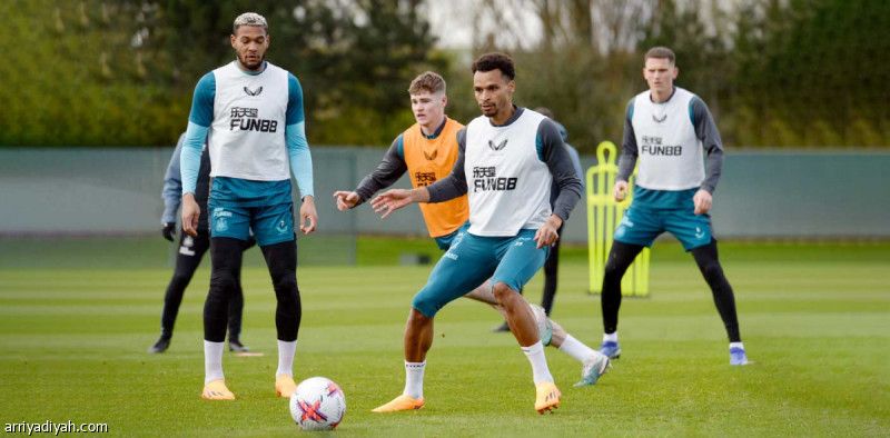 نيوكاسل يعزز حظوظ الأبطال