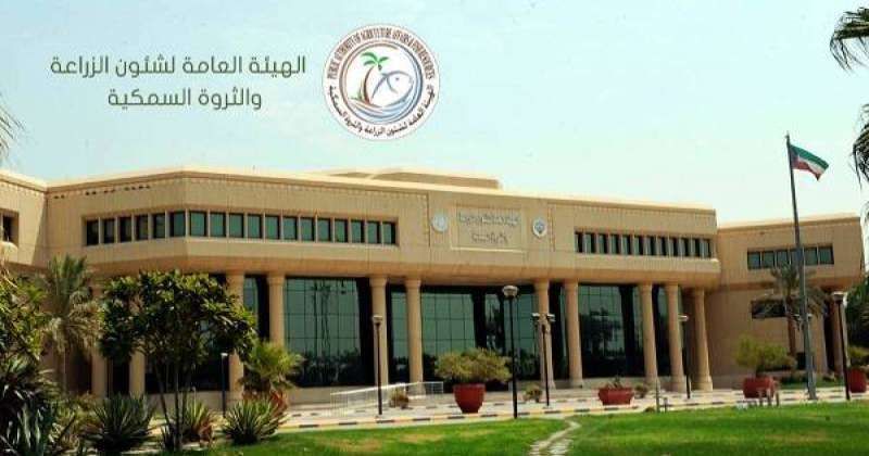 «الزراعة»: لم نوقع عقداً لاستيراد «نخيل» من مصر