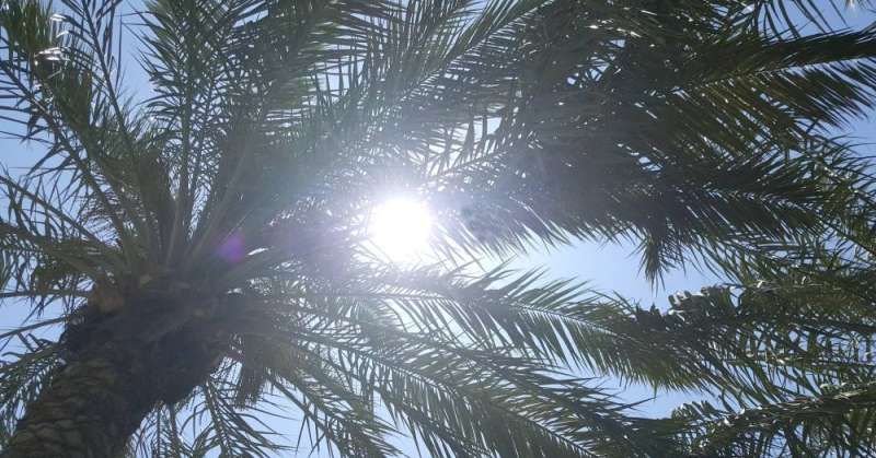 توضيحية