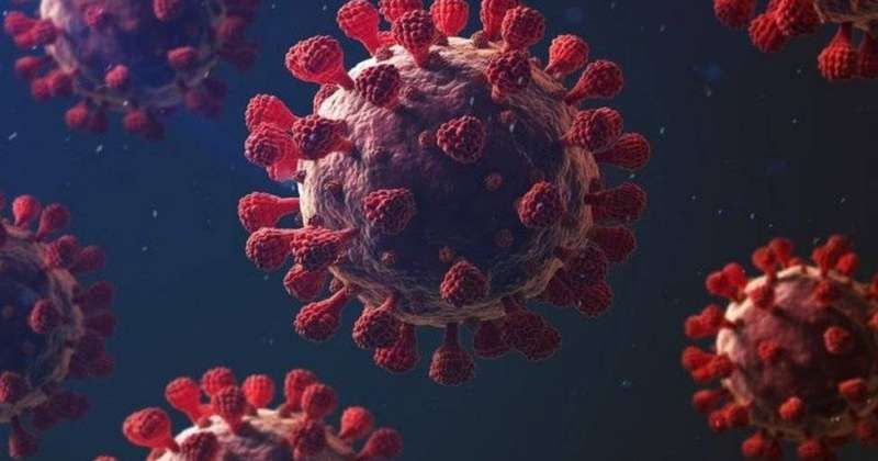 «منظمة الصحة»: كورونا لم يعد حالة طوارئ عالمية