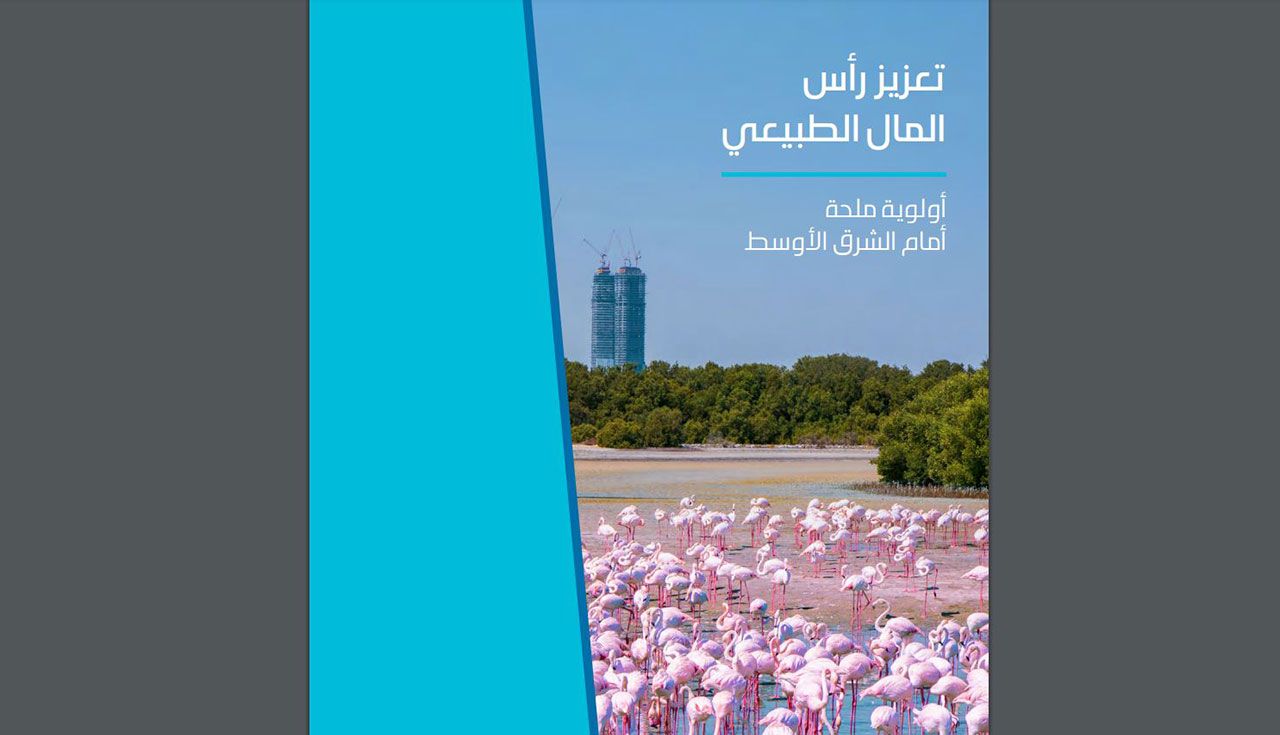 "القمة العالمية للحكومات" تطلق تقريراً معرفياً جديداً بالشراكة مع "أوليفر وايمان"