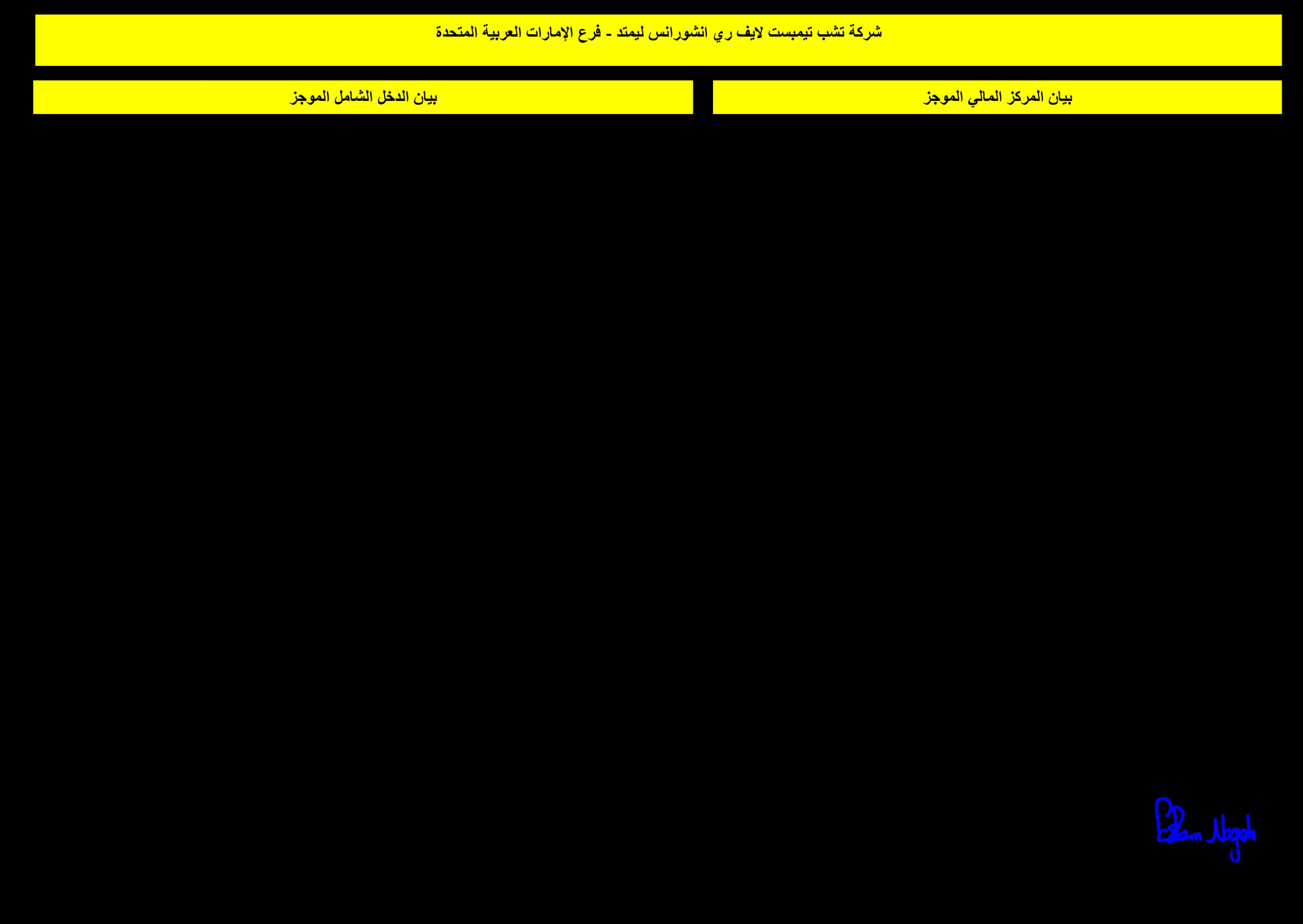 البيانات المالية لشركة Chubb Tempest لسنة 2022