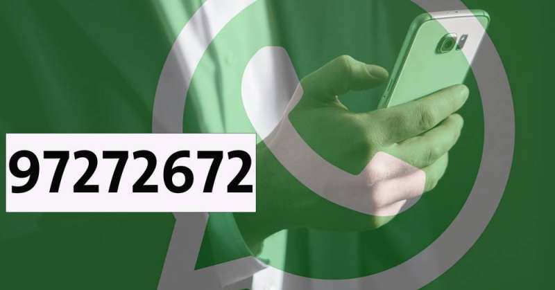 «واتس اب» لرصد «الفرعيات» و«شراء الأصوات»