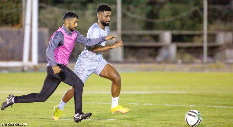 العياري.. توازن الخطوط