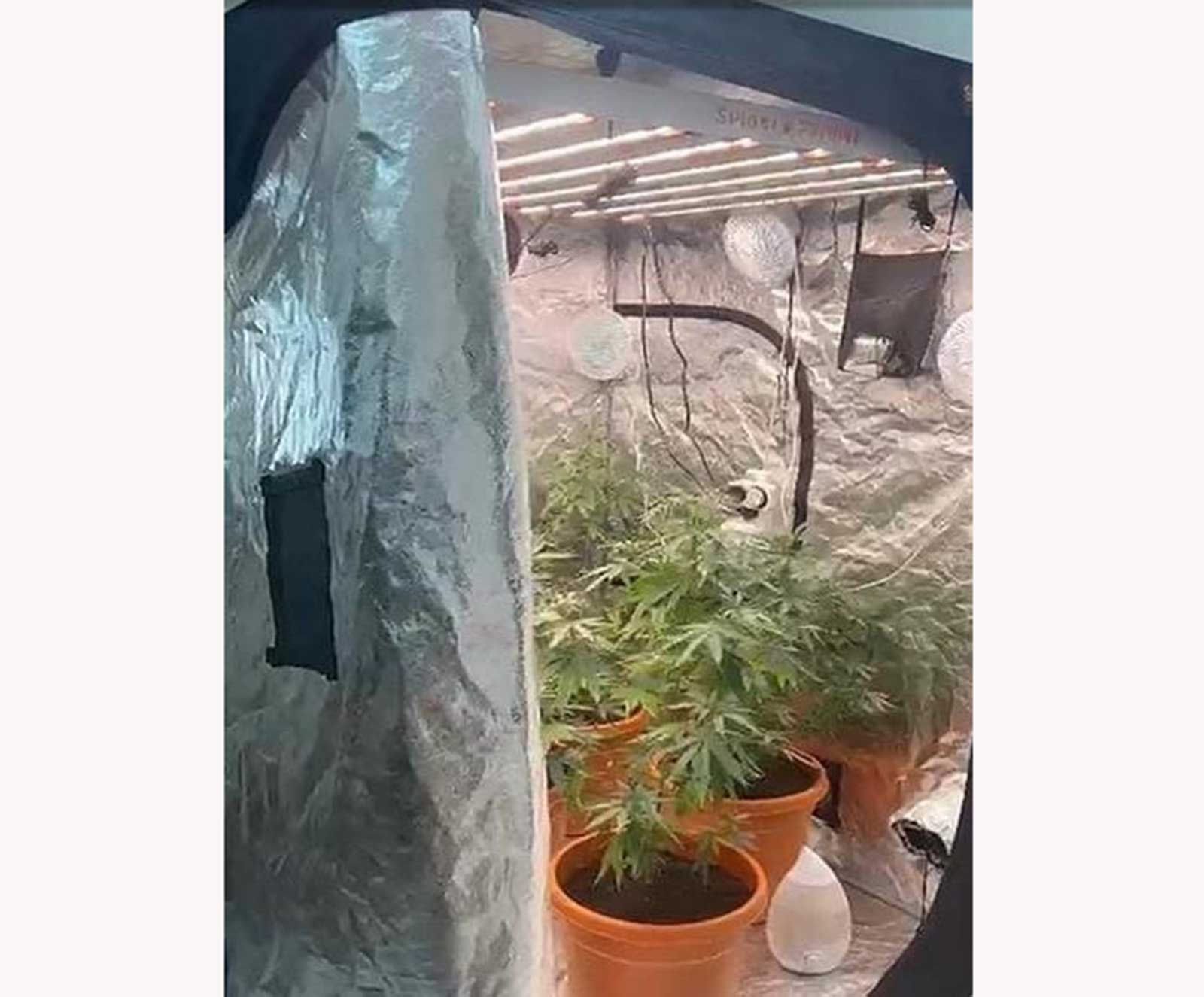 النيابة العامة تحقق بزراعة مخدرات ببناية سكنية في الشارقة