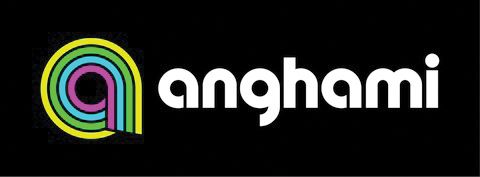 10.2 ملايين دولار إيرادات «أنغامي» للربع الأول