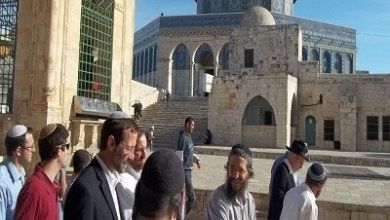 عشرات المستوطنين يقتحمون الأقصى بحماية شرطة الاحتلال الإسرائيلي