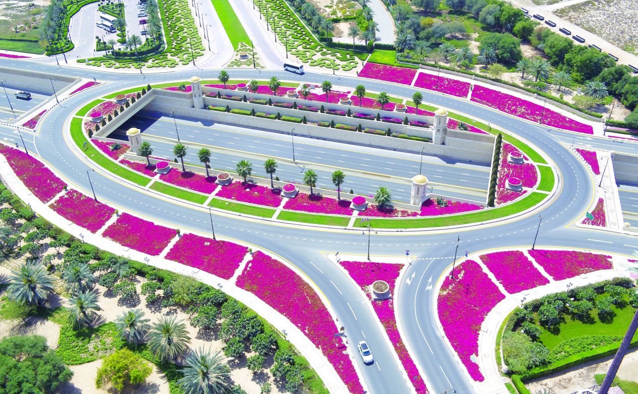 دبي تعزز المساحات الخضراء بزراعة 1000 هكتار خلال 4 سنوات