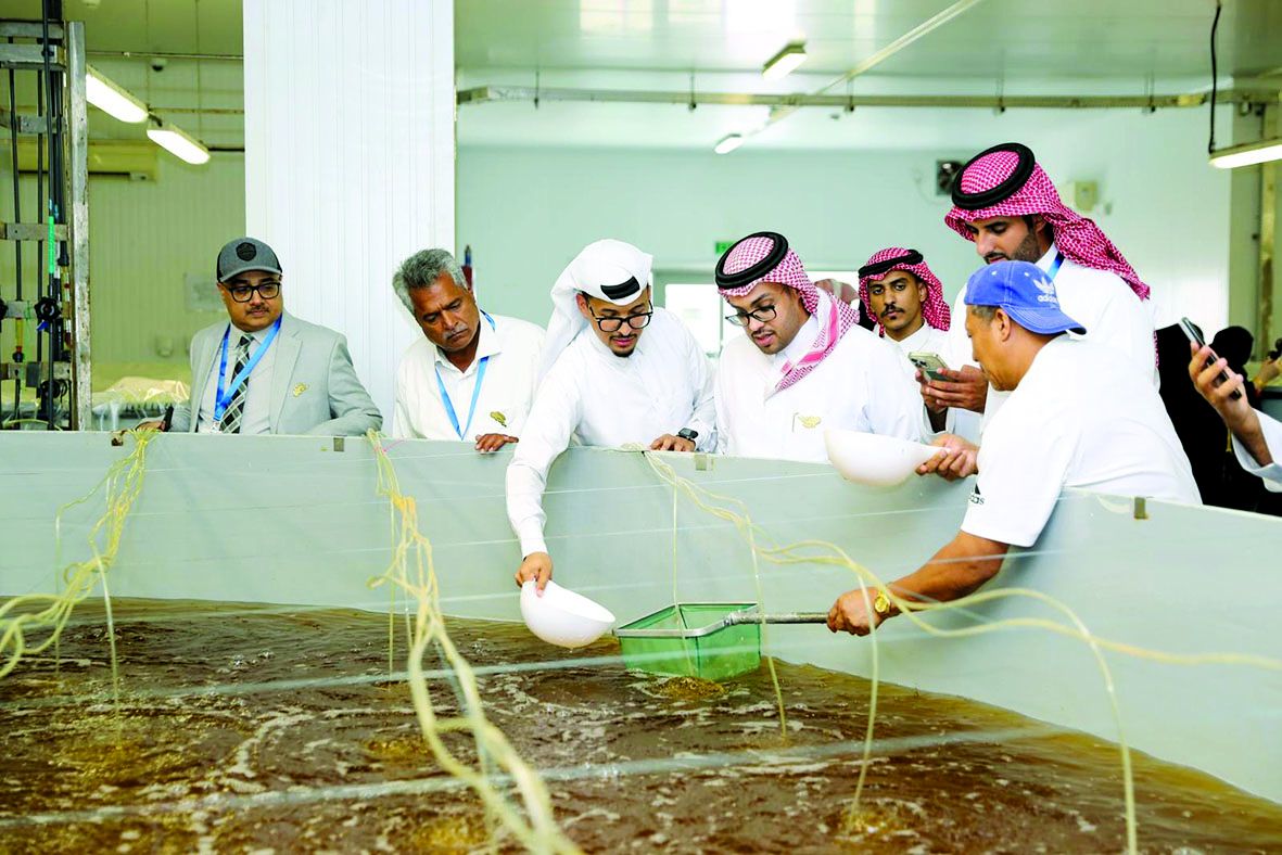 «خريطة طريق» للحفاظ  على حياة قرش الحوت