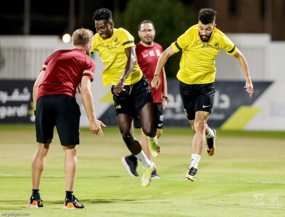 الحائلي يراقب قياسات النمور