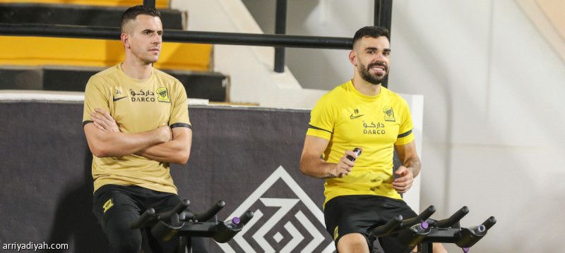 الحائلي يراقب قياسات النمور