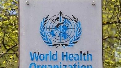 «الصحة العالمية» تحذر من زراعة التبغ وتطالب بالتوسع في دعم وزراعة الغذاء بدلا منه