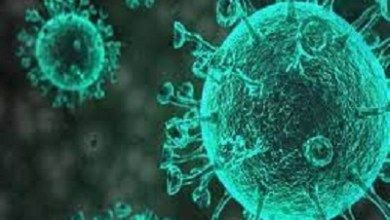 الفلبين: تسجيل 16 إصابة جديدة بمتحور أركتوروس