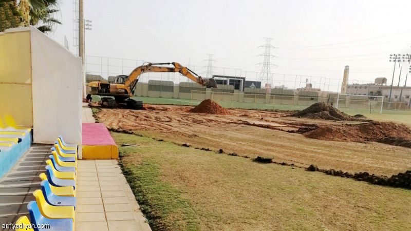 زراعة ملاعب النصر تنطلق