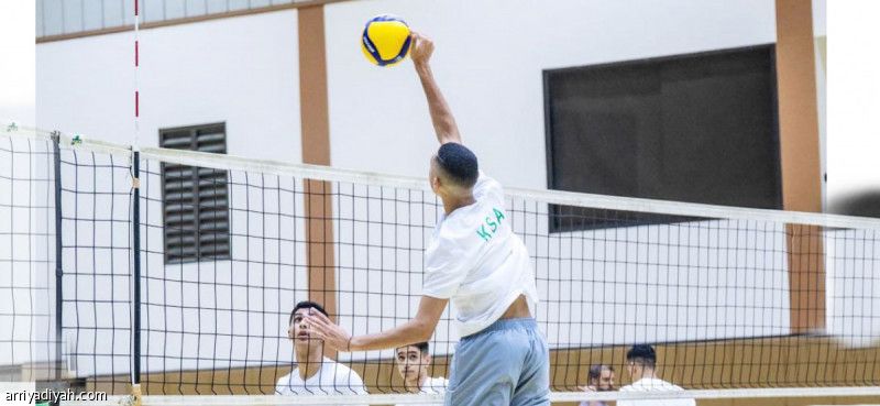 الطائرة.. 20 لاعبا