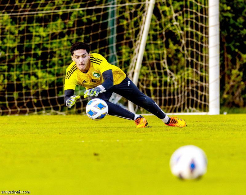 البريه.. الحارس الأفضل