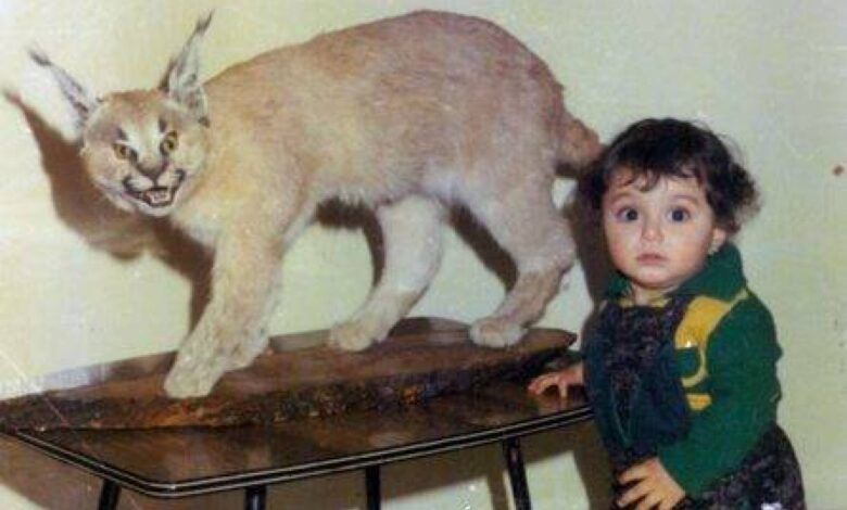 هذه الطفلة باتت نجمة سورية شهيرة… خمّنوا مَن تكون؟