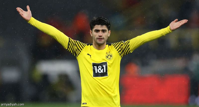 برايتون يتعاقد مع داهود من دورتموند