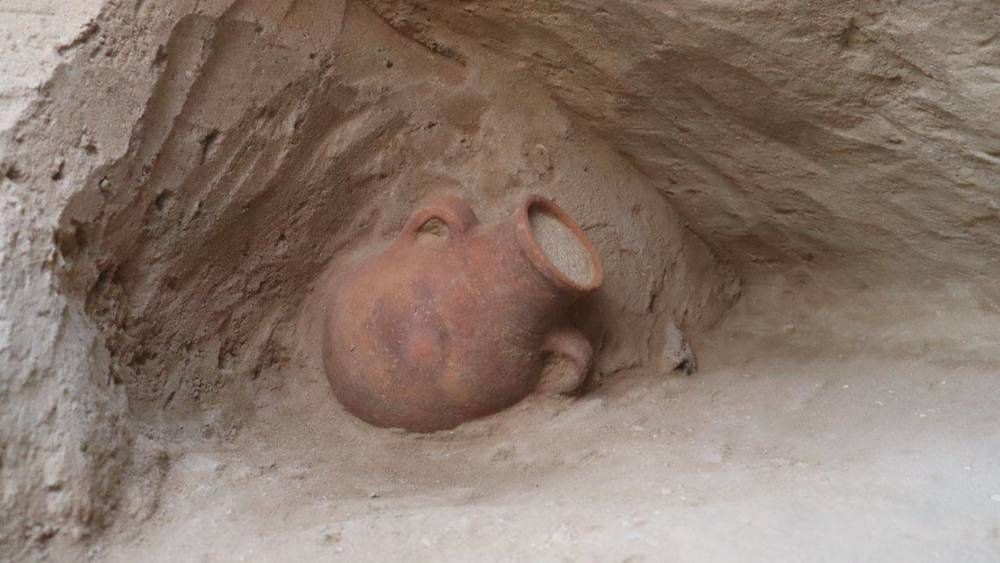 أبوظبي تعلن عن اكتشافات أثرية تعود للعصر الحديدي وفترة ما قبل الإسلام