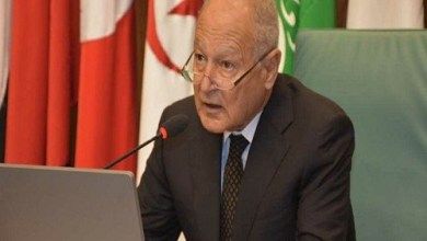 أبو الغيط: المشاورات مع بوريل “مثمرة” وناقشنا عددًا من القضايا الهامة