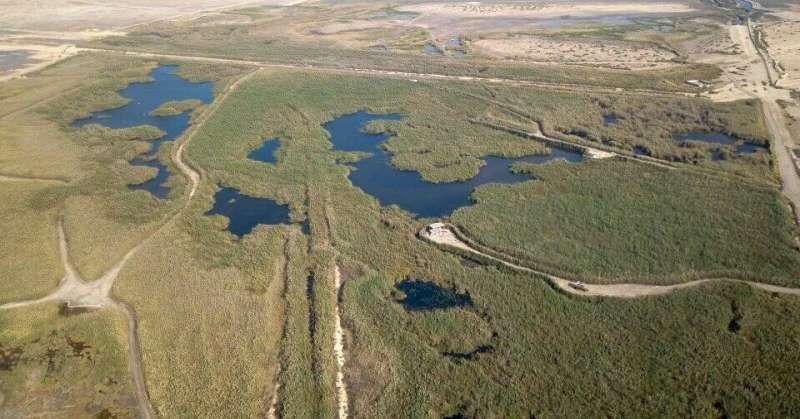 محمية الجهراء