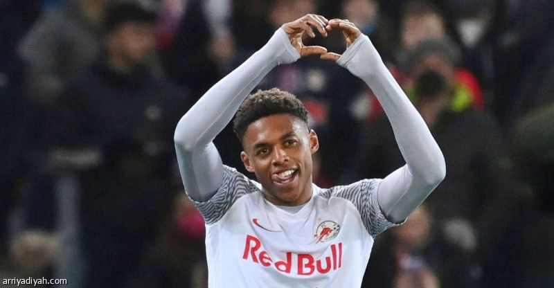 فرايبورج يضم أدامو