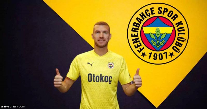 دجيكو.. صفقة فنربخشة الجديدة