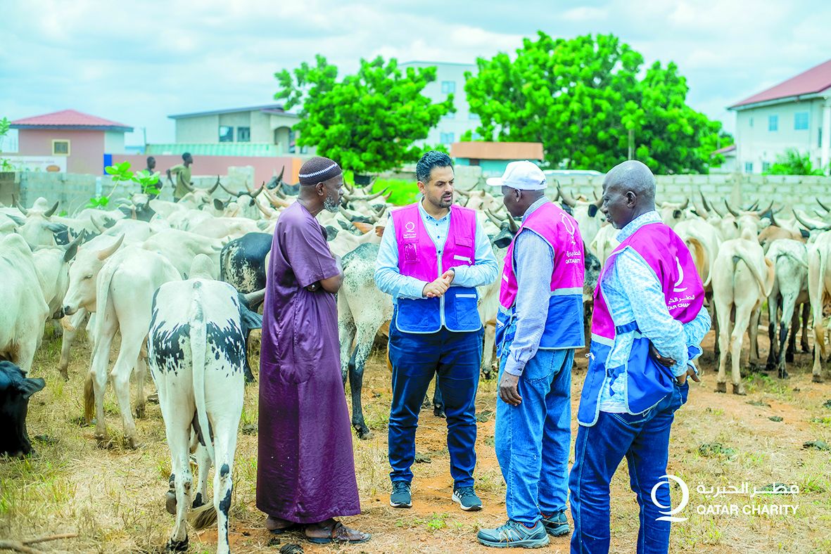 مئات الآلاف استفادوا من أضاحي قطر الخيرية