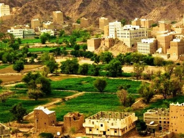 صراعات الإرث والثأر.. مقتل أربعة أشخاص بينهم امرأة في حادثتين منفصلتين بشبوة