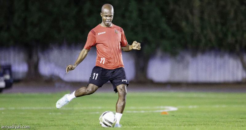 موسونا.. تجربة ثانية