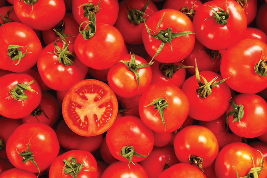 أسعار الطماطم ترتفع 300% عند ثاني أكبر منتج عالمياً