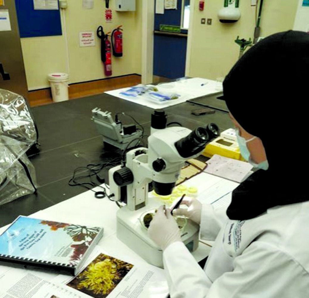 جامعة قطر تنشئ أول قاعدة بيانات للطحالب بالدولة