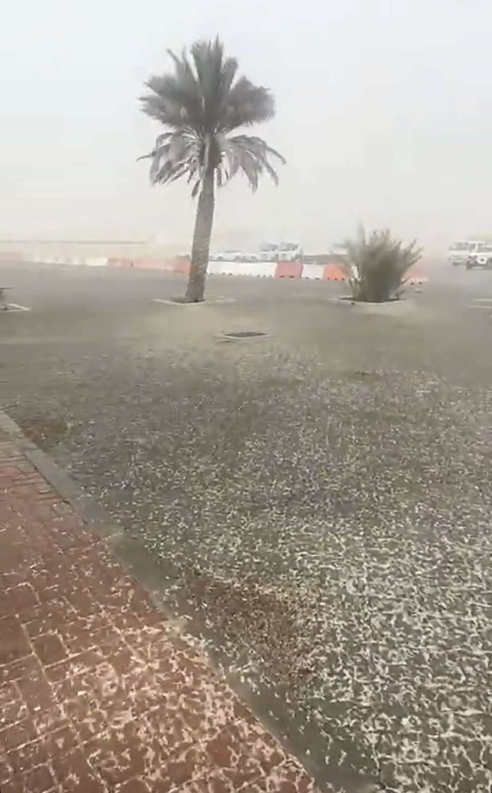 سقوط أمطار خفيفة ومتوسطة على العين وضواحيها