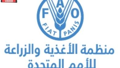 “الفاو” تدعو لتوجه متكامل ومستدام في النظام الزراعي الغذائي لمواجهة التحديات