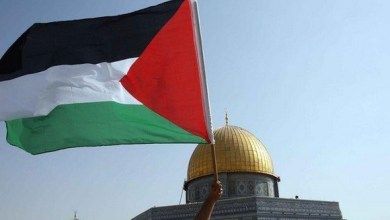 المجلس الاقتصادي والاجتماعي للأمم المتحدة يعتمد قرارين لصالح فلسطين