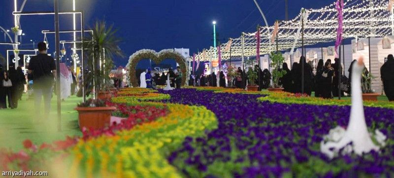 بطولة ومهرجان وموسم صيفي