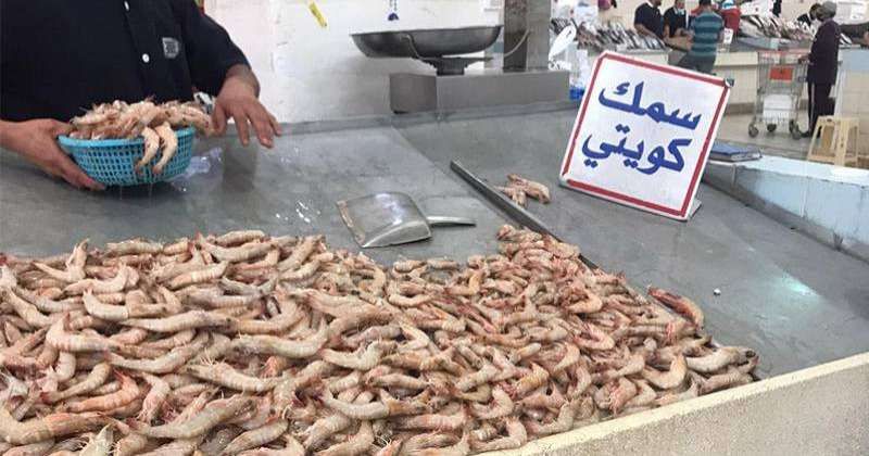 «الزراعة»: صيد الروبيان في المنطقة الاقتصادية غداً و«الإقليمية» أول سبتمبر