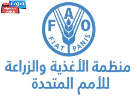 الأمم المتحدة تدعو لزيادة الاستثمارات في جنوب السودان لتجنب أزمة غذاء كارثية