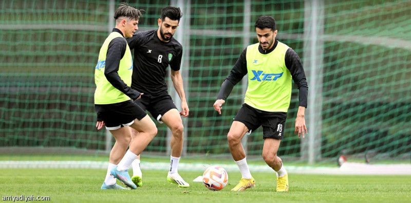 الألمان يجهزون الأهلي