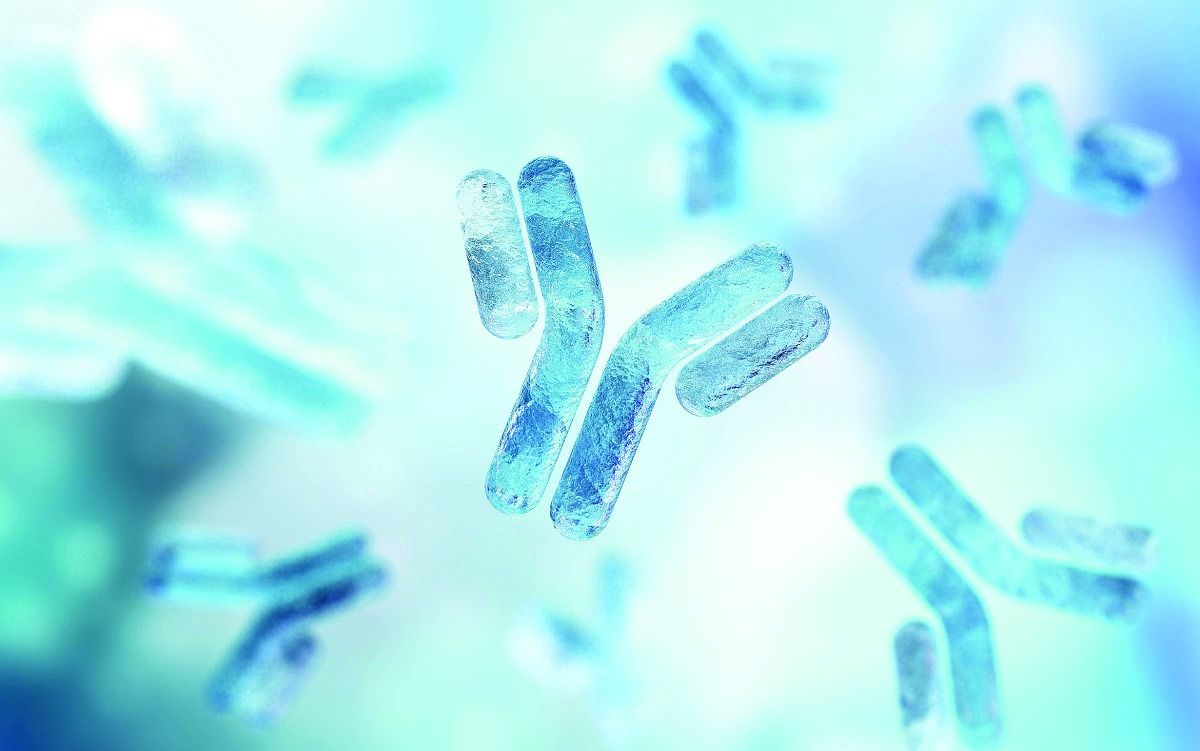 دراسة حول الصلة بين الحمض النووي والأجسام المضادة