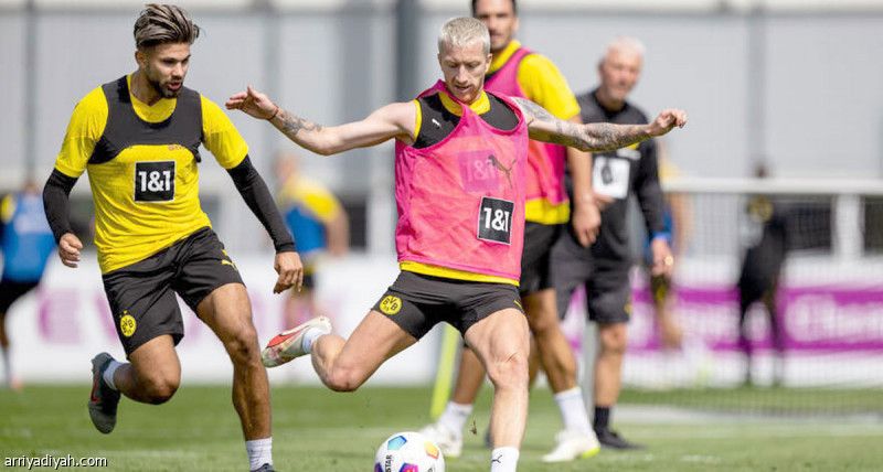 فاتسكه يتحسر على خسارة «بوندسليجا»