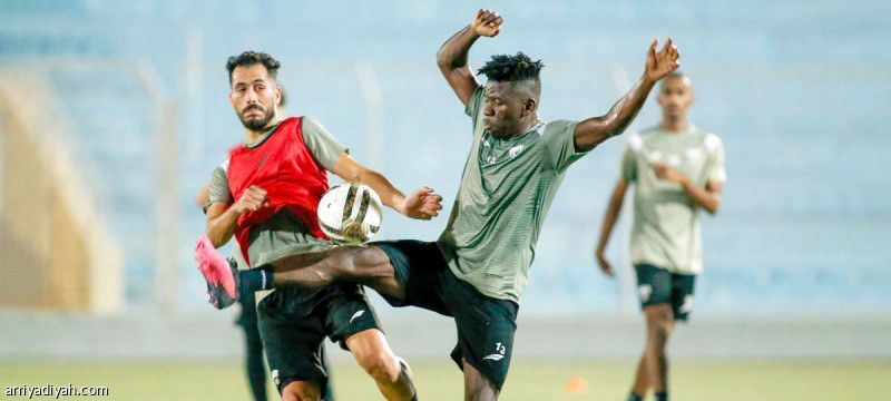 جاسانين.. تركيز فني