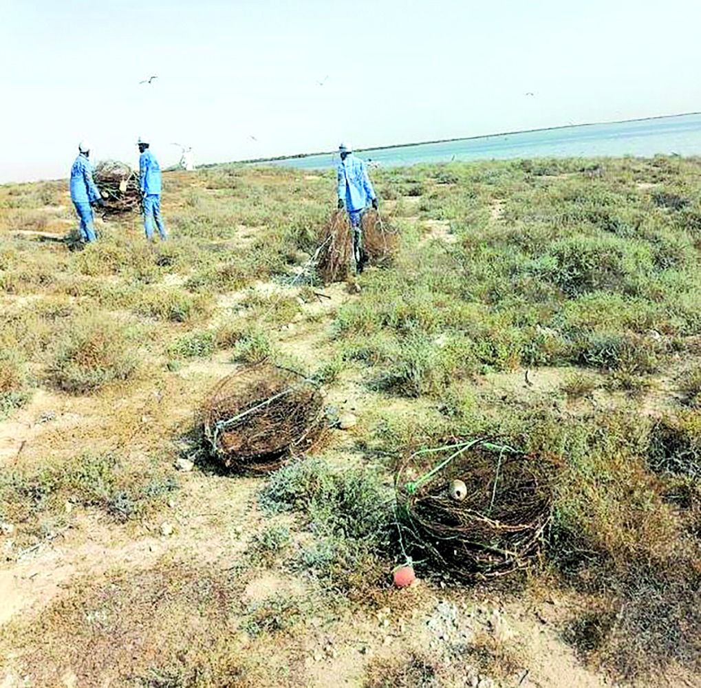 إزالة 56 قفص صيد بشواطئ «أم الفار»