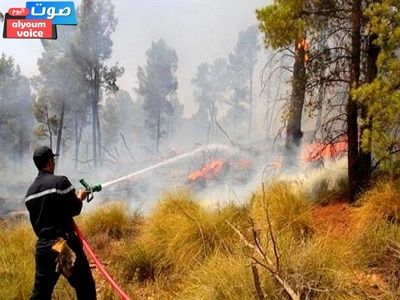 أوامر بإخلاء مدينة كندية مع تقدم حرائق الغابات