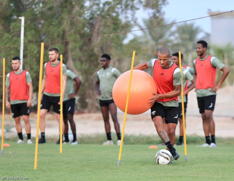 اجتماعات تصحح أخطاء هجر