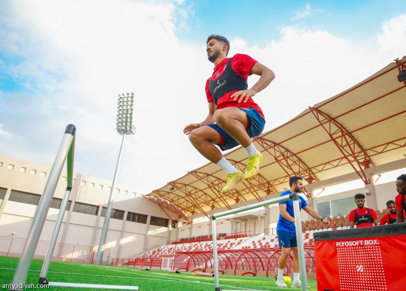 ضمك.. أرضيات وكرات عالية